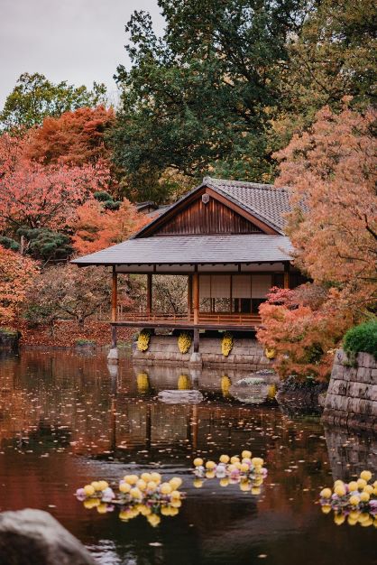 Jardin Japonais